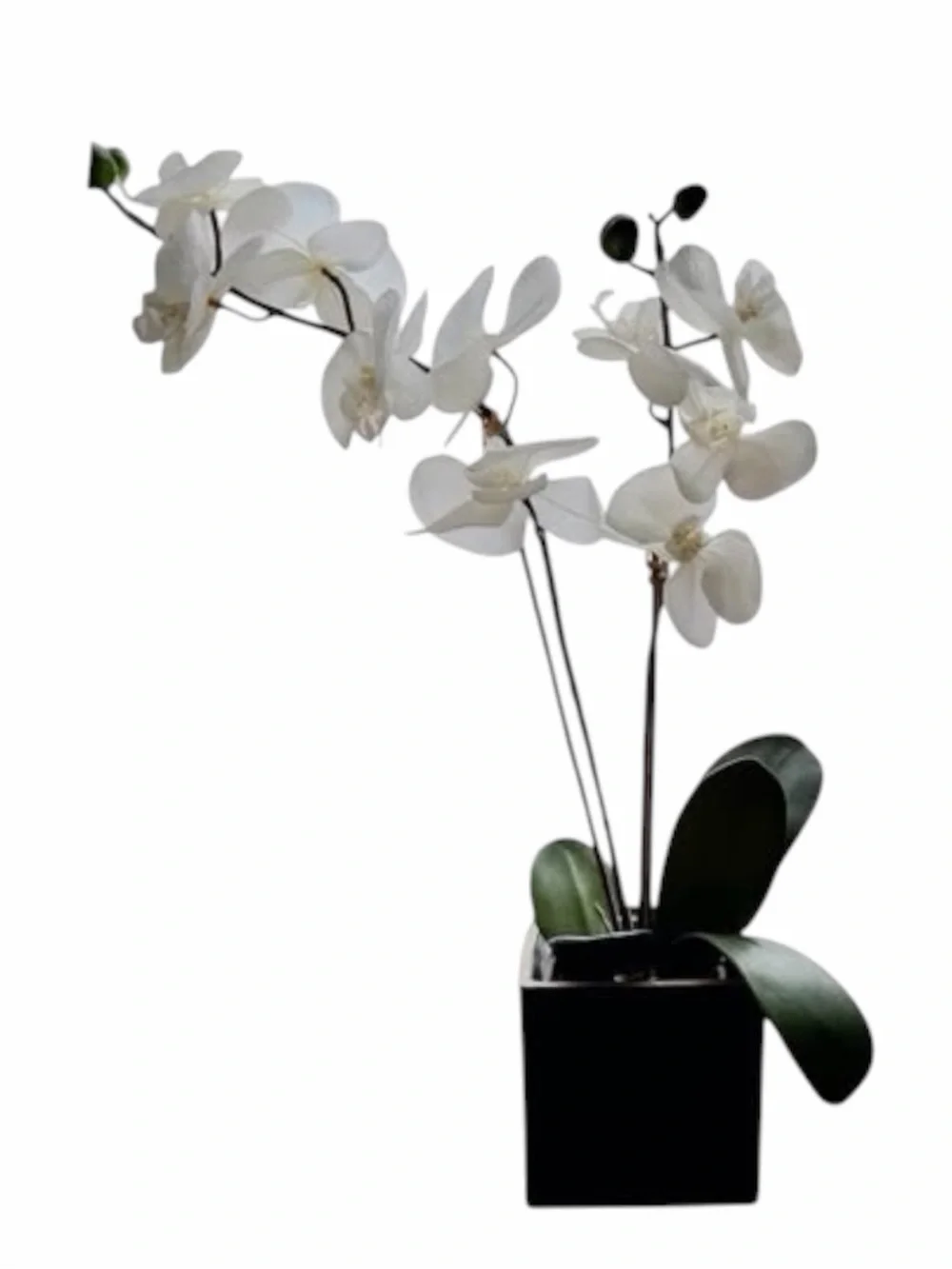 Faux Orchid Plant in Ceramic Pot